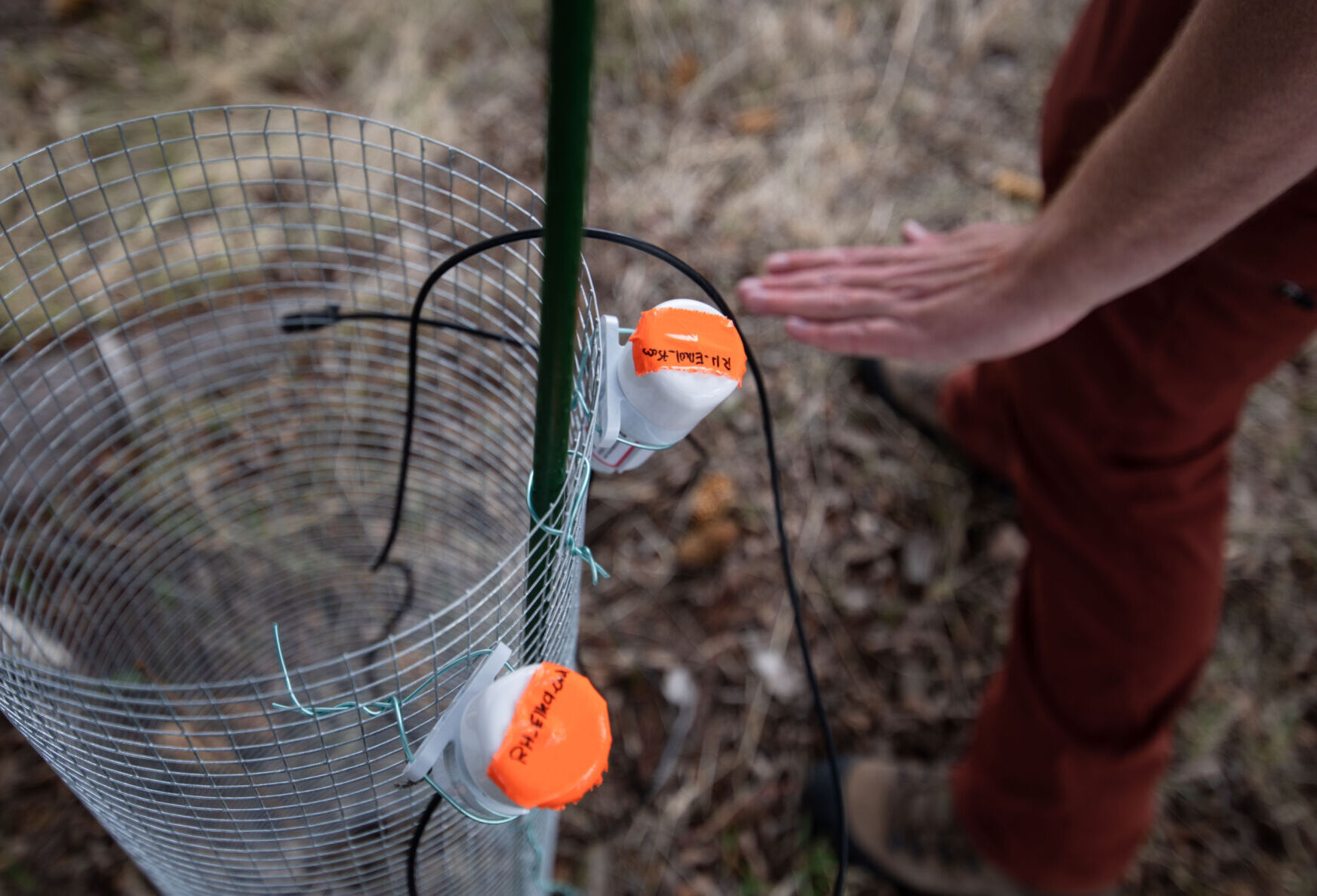 Teton tick study